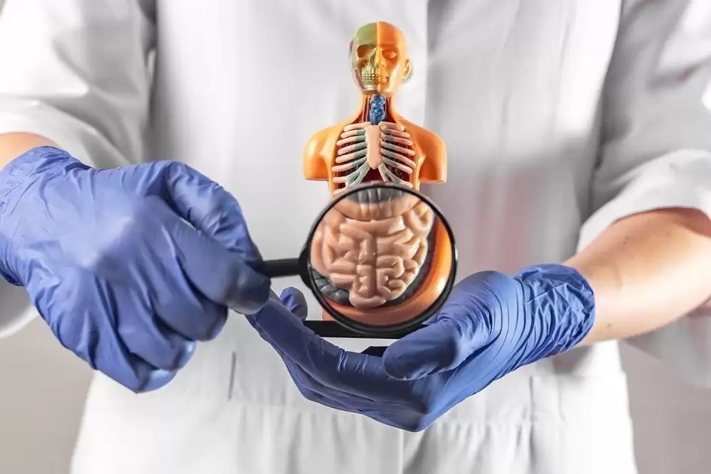 Bariatric Surgery & Women's Health